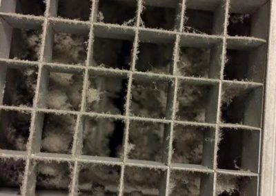 Dust collection in ventilation