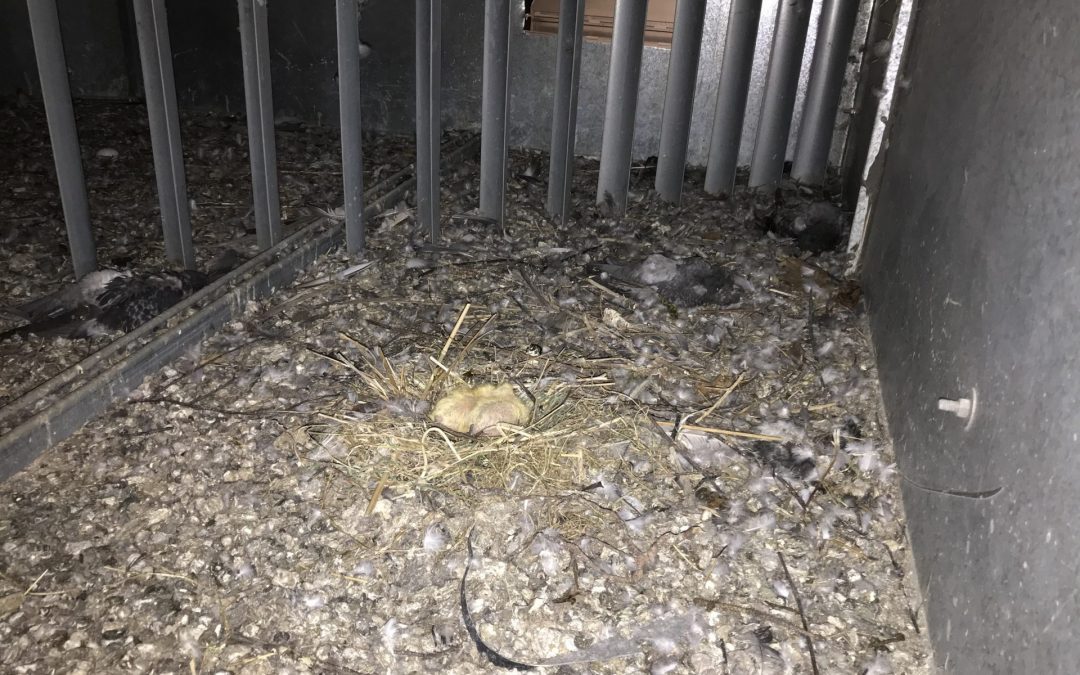 Dust in Air Filter Panels