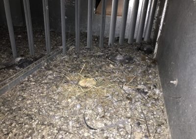 Dust in Air Filter Panels